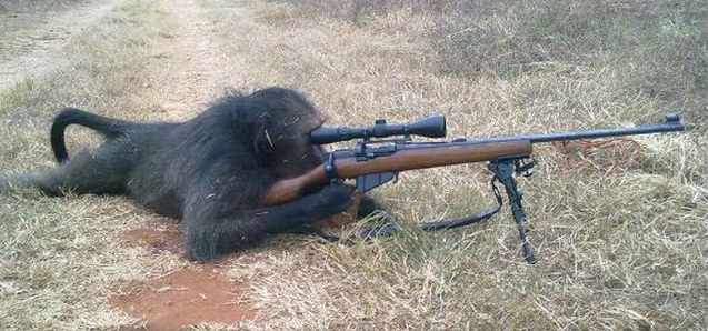 High Quality Sniper Monkey Blank Meme Template