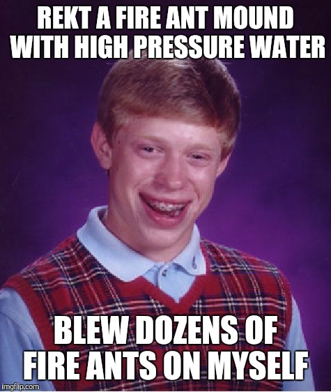 True story. | REKT A FIRE ANT MOUND WITH HIGH PRESSURE WATER; BLEW DOZENS OF FIRE ANTS ON MYSELF | image tagged in memes,bad luck brian | made w/ Imgflip meme maker