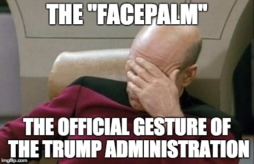 The Official Gesture of the Trump Administration | THE "FACEPALM"; THE OFFICIAL GESTURE OF THE TRUMP ADMINISTRATION | image tagged in memes,captain picard facepalm,donald trump,trump administration,wtf | made w/ Imgflip meme maker