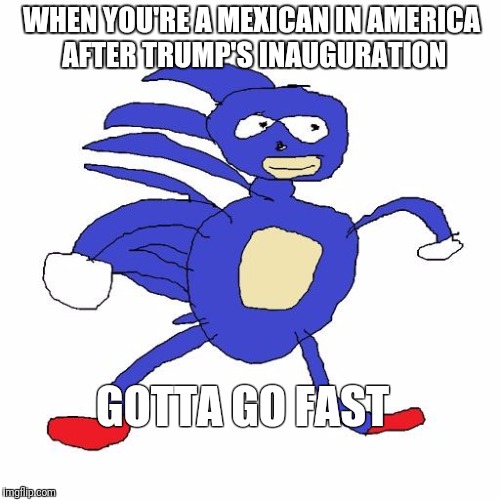 Sanic | WHEN YOU'RE A MEXICAN IN AMERICA AFTER TRUMP'S INAUGURATION; GOTTA GO FAST | image tagged in sanic | made w/ Imgflip meme maker