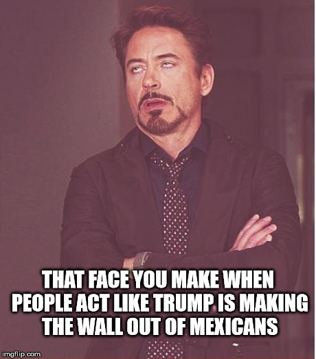 That face you make when | THAT FACE YOU MAKE WHEN PEOPLE ACT LIKE TRUMP IS MAKING THE WALL OUT OF MEXICANS | image tagged in memes,face you make robert downey jr,donald trump,politics | made w/ Imgflip meme maker