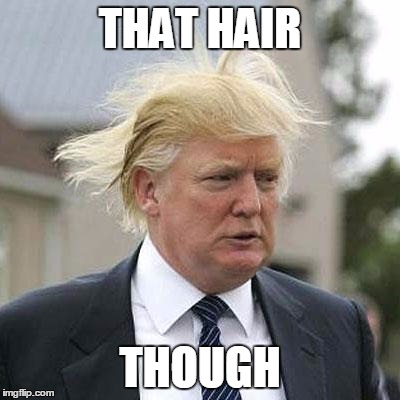 Donald Trump | THAT HAIR; THOUGH | image tagged in donald trump | made w/ Imgflip meme maker
