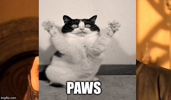 PAWS | made w/ Imgflip meme maker