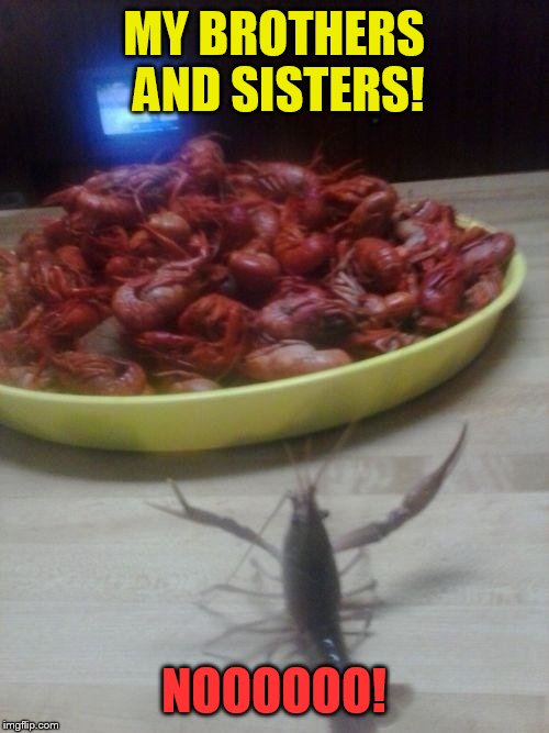 Someone is gonna be a little crabby today. | MY BROTHERS AND SISTERS! NOOOOOO! | image tagged in crawfishno,funny memes | made w/ Imgflip meme maker