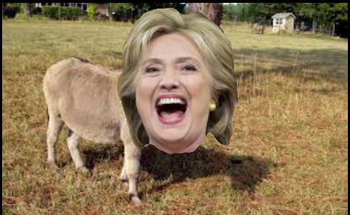 High Quality Hillary Clinton The Donkey Blank Meme Template