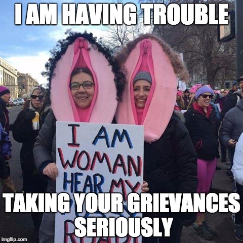 Pussy Hats | I AM HAVING TROUBLE; TAKING YOUR GRIEVANCES SERIOUSLY | image tagged in pussy hats | made w/ Imgflip meme maker