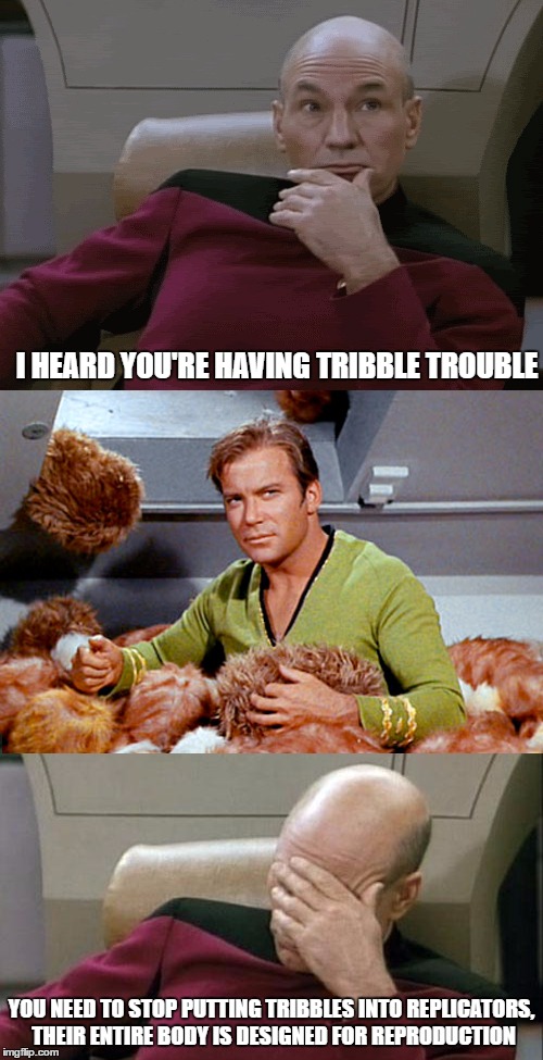 Picard Kirk Tribbles Faceplant | I HEARD YOU'RE HAVING TRIBBLE TROUBLE; YOU NEED TO STOP PUTTING TRIBBLES INTO REPLICATORS, THEIR ENTIRE BODY IS DESIGNED FOR REPRODUCTION | image tagged in picard kirk tribbles faceplant | made w/ Imgflip meme maker