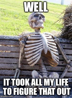 WELL IT TOOK ALL MY LIFE TO FIGURE THAT OUT | image tagged in memes,waiting skeleton | made w/ Imgflip meme maker