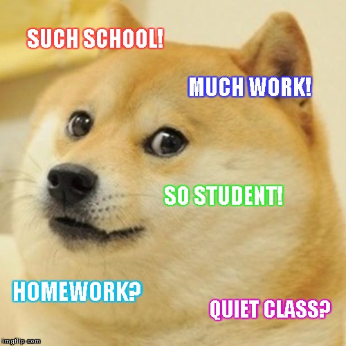 Doge Meme | SUCH SCHOOL! MUCH WORK! SO STUDENT! HOMEWORK? QUIET CLASS? | image tagged in memes,doge | made w/ Imgflip meme maker