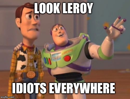 X, X Everywhere | LOOK LEROY; IDIOTS EVERYWHERE | image tagged in memes,x x everywhere | made w/ Imgflip meme maker