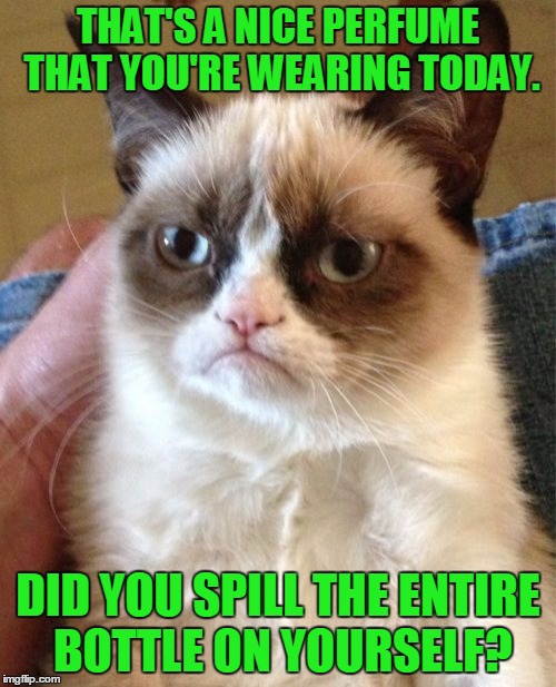 To the gal two cubicles down from me stinking up the whole office! | THAT'S A NICE PERFUME THAT YOU'RE WEARING TODAY. DID YOU SPILL THE ENTIRE BOTTLE ON YOURSELF? | image tagged in memes,grumpy cat,stinky perfume | made w/ Imgflip meme maker