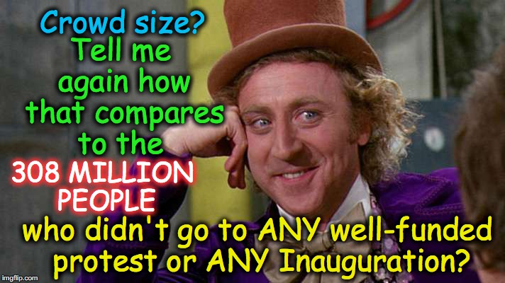 since CNN, et al, are all into 'crowd size' analysis.... | Crowd size? Tell me again how that compares to the; 308 MILLION PEOPLE; who didn't go to ANY well-funded protest or ANY Inauguration? | image tagged in wonka wide | made w/ Imgflip meme maker