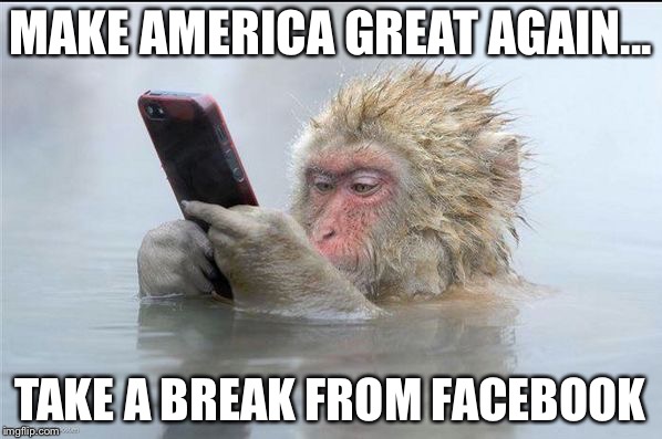 rhesus monkey iphone | MAKE AMERICA GREAT AGAIN... TAKE A BREAK FROM FACEBOOK | image tagged in rhesus monkey iphone | made w/ Imgflip meme maker
