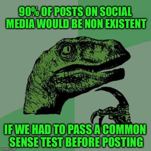 Philosoraptor Meme | 90% OF POSTS ON SOCIAL MEDIA WOULD BE NON EXISTENT; IF WE HAD TO PASS A COMMON SENSE TEST BEFORE POSTING | image tagged in memes,philosoraptor,people,social media,common sense,funny | made w/ Imgflip meme maker