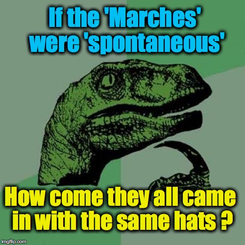 at the airport, I saw a plane-load of schoolgirls getting off  -- ALREADY wearing the hats - with a 'chaperone' (paid organizer) | If the 'Marches' were 'spontaneous'; How come they all came in with the same hats ? | image tagged in memes,philosoraptor | made w/ Imgflip meme maker