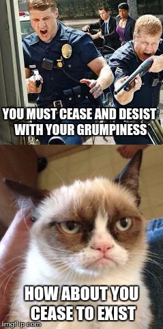 grumpy cats encounter with the PO LEASH | YOU MUST CEASE AND DESIST WITH YOUR GRUMPINESS; HOW ABOUT YOU CEASE TO EXIST | image tagged in grumpy cat,cops,memes,funny,cease and desist | made w/ Imgflip meme maker