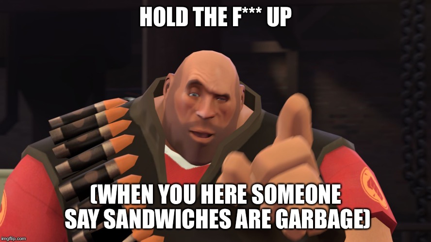 Hold the fuck up | HOLD THE F*** UP; (WHEN YOU HERE SOMEONE SAY SANDWICHES ARE GARBAGE) | image tagged in hold the fuck up | made w/ Imgflip meme maker