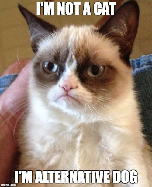 Grumpy Cat Meme | I'M NOT A CAT; I'M ALTERNATIVE DOG | image tagged in memes,grumpy cat | made w/ Imgflip meme maker