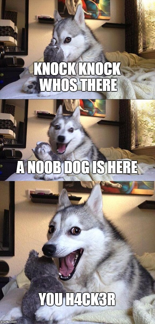 Bad Pun Dog Meme | KNOCK KNOCK WHOS THERE; A NOOB DOG IS HERE; Y0U H4CK3R | image tagged in memes,bad pun dog | made w/ Imgflip meme maker