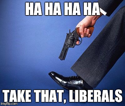 Take that, liberals | HA HA HA HA; TAKE THAT, LIBERALS | image tagged in politics | made w/ Imgflip meme maker