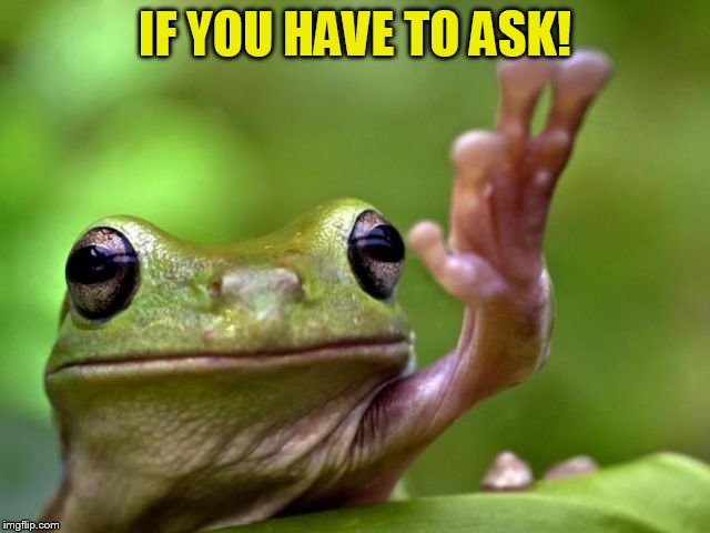 IF YOU HAVE TO ASK! | made w/ Imgflip meme maker
