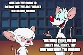 Pinky and the Brain | WHAT ARE WE GOING TO DO NOW THAT WE ARE FINISHED LAMINATING, BRAIN? THE SAME THING WE DO EVERY DAY, PINKY. TRY AND TAKE OVER THE WORLD!! | image tagged in pinky and the brain | made w/ Imgflip meme maker