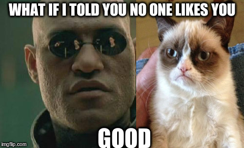 Matrix Morpheus Meme | WHAT IF I TOLD YOU NO ONE LIKES YOU; GOOD | image tagged in memes,matrix morpheus | made w/ Imgflip meme maker