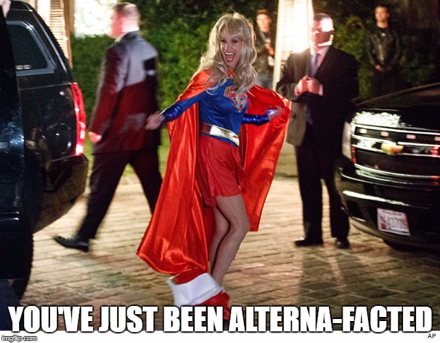 YOU'VE JUST BEEN ALTERNA-FACTED | image tagged in super kelly ann | made w/ Imgflip meme maker