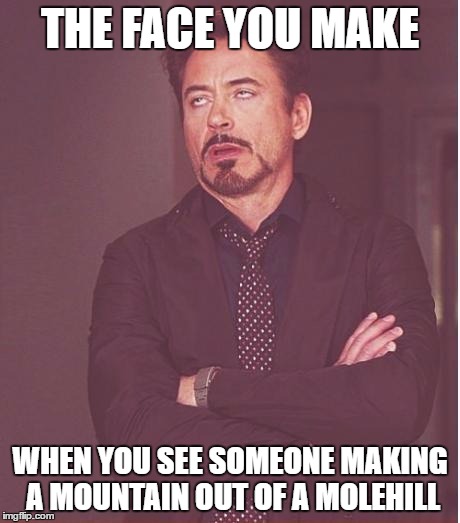 Face You Make Robert Downey Jr Meme | THE FACE YOU MAKE WHEN YOU SEE SOMEONE MAKING A MOUNTAIN OUT OF A MOLEHILL | image tagged in memes,face you make robert downey jr | made w/ Imgflip meme maker