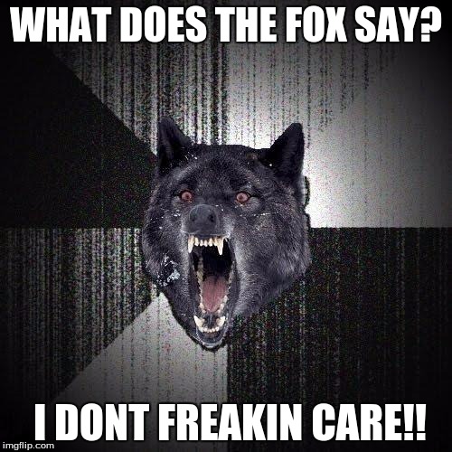 Insanity Wolf Meme | WHAT DOES THE FOX SAY? I DONT FREAKIN CARE!! | image tagged in memes,insanity wolf | made w/ Imgflip meme maker
