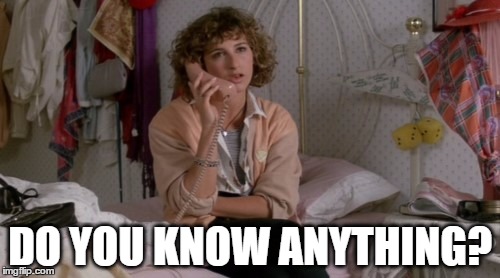 Do you know anything? | DO YOU KNOW ANYTHING? | image tagged in jeanie bueller,humor | made w/ Imgflip meme maker