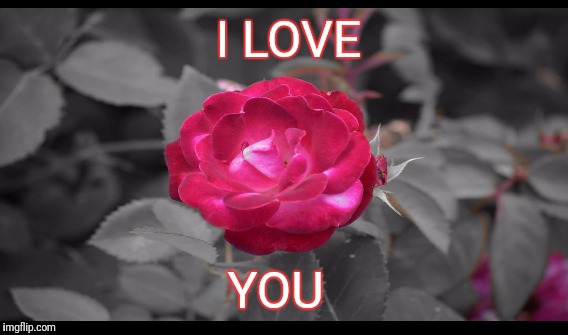 I LOVE; YOU | image tagged in i love you | made w/ Imgflip meme maker