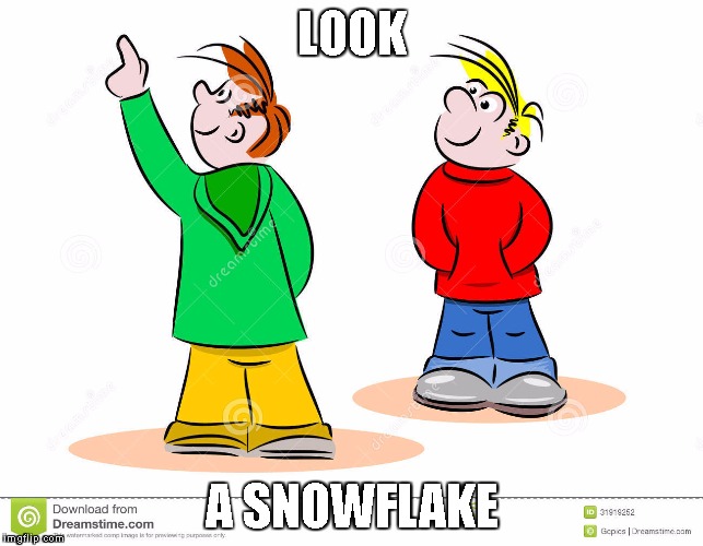 LOOK; A SNOWFLAKE | image tagged in snowflake | made w/ Imgflip meme maker
