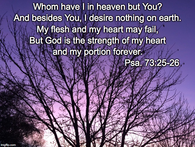 Whom have I in heaven but You? And besides You, I desire nothing on earth. My flesh and my heart may fail, But God is the strength of my heart; and my portion forever. Psa. 73:25-26 | image tagged in strength of my heart | made w/ Imgflip meme maker