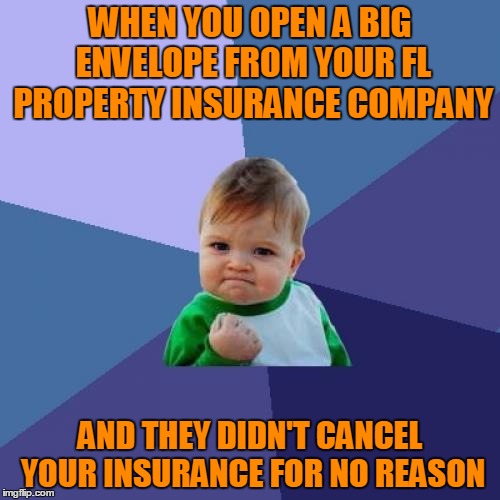 If you make a claim, you get dropped. If you don't make a claim, you get dropped because they think you're going to. | WHEN YOU OPEN A BIG ENVELOPE FROM YOUR FL PROPERTY INSURANCE COMPANY; AND THEY DIDN'T CANCEL YOUR INSURANCE FOR NO REASON | image tagged in memes,success kid | made w/ Imgflip meme maker