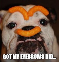 fake eyebrows lol | GOT MY EYEBROWS DID... | image tagged in eyebrows | made w/ Imgflip meme maker