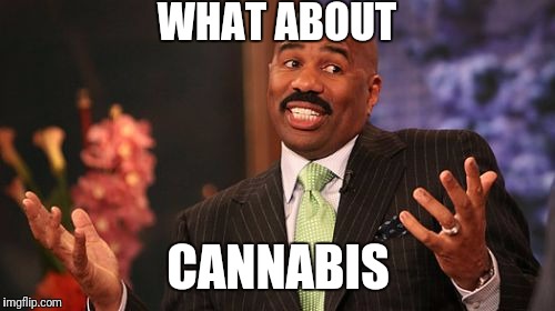 Steve Harvey Meme | WHAT ABOUT CANNABIS | image tagged in memes,steve harvey | made w/ Imgflip meme maker