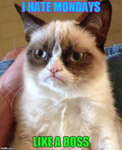 Grumpy Cat | I HATE MONDAYS; LIKE A BOSS | image tagged in memes,grumpy cat | made w/ Imgflip meme maker