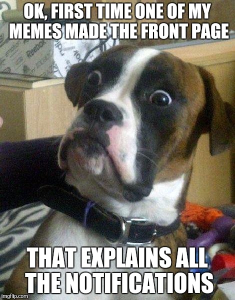 I didn't expect it expect it to make the front page but hey whatever works | OK, FIRST TIME ONE OF MY MEMES MADE THE FRONT PAGE; THAT EXPLAINS ALL THE NOTIFICATIONS | image tagged in surprised dog,memes | made w/ Imgflip meme maker