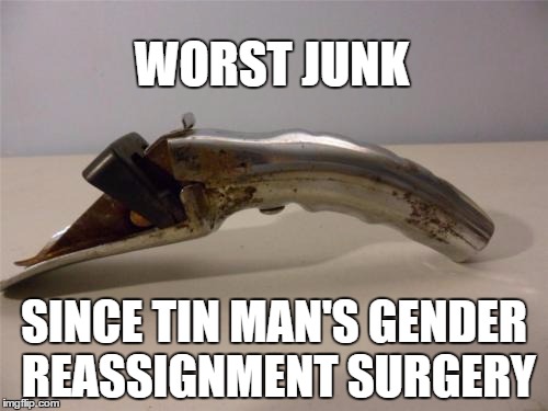 refute bullshit junk garbage crap untruths lies idiotic statements with this! | WORST JUNK; SINCE TIN MAN'S GENDER REASSIGNMENT SURGERY | image tagged in bullshit,junk,garbage,transgender,call out,shut up | made w/ Imgflip meme maker