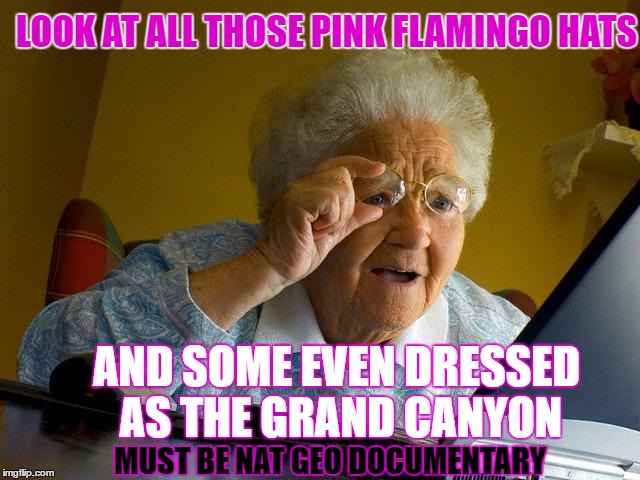 Grandma Finds The Internet and then the women's march | LOOK AT ALL THOSE PINK FLAMINGO HATS; AND SOME EVEN DRESSED AS THE GRAND CANYON; MUST BE NAT GEO DOCUMENTARY | image tagged in memes,grandma finds the internet | made w/ Imgflip meme maker