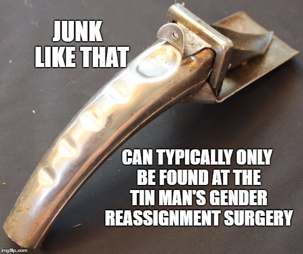 Tired of someone posting crap garbage lies uninformed ill-informed junk? Respond with this! | JUNK  LIKE THAT; CAN TYPICALLY ONLY BE FOUND AT THE TIN MAN'S GENDER REASSIGNMENT SURGERY | image tagged in junk,garbage,lies,crap,bullshit,false | made w/ Imgflip meme maker