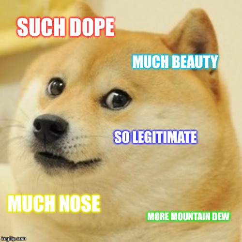 Doge | SUCH DOPE; MUCH BEAUTY; SO LEGITIMATE; MUCH NOSE; MORE MOUNTAIN DEW | image tagged in memes,doge | made w/ Imgflip meme maker