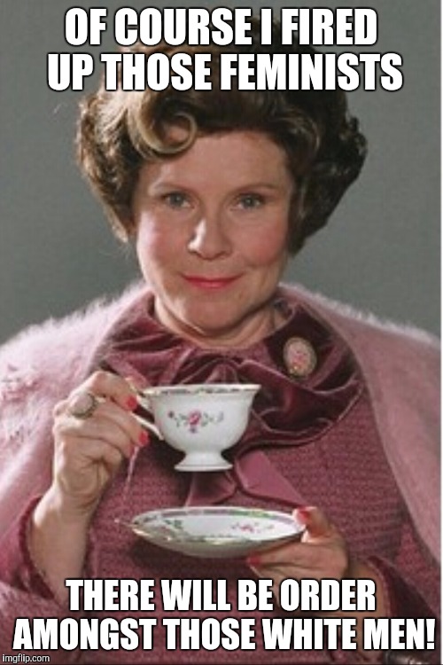 Umbridge | OF COURSE I FIRED UP THOSE FEMINISTS; THERE WILL BE ORDER AMONGST THOSE WHITE MEN! | image tagged in umbridge | made w/ Imgflip meme maker