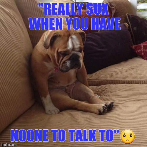 bulldogsad | "REALLY SUX WHEN YOU HAVE; NOONE TO TALK TO"🙁 | image tagged in bulldogsad | made w/ Imgflip meme maker