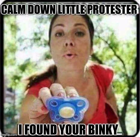 Ahhh, how cute :) | CALM DOWN LITTLE PROTESTER; I FOUND YOUR BINKY | image tagged in memes | made w/ Imgflip meme maker