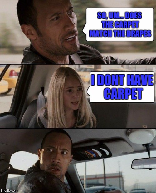 The Rock Driving Meme | SO, UM... DOES THE CARPET MATCH THE DRAPES; I DONT HAVE CARPET | image tagged in memes,the rock driving | made w/ Imgflip meme maker