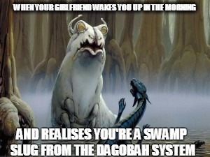 WHEN YOUR GIRLFRIEND WAKES YOU UP IN THE MORNING; AND REALISES YOU'RE A SWAMP SLUG FROM THE DAGOBAH SYSTEM | image tagged in star wars | made w/ Imgflip meme maker