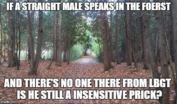 IF A STRAIGHT MALE SPEAKS IN THE FOERST; AND THERE'S NO ONE THERE FROM LBGT
 IS HE STILL A INSENSITIVE PRICK? | image tagged in lgbq | made w/ Imgflip meme maker