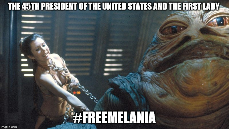 THE 45TH PRESIDENT OF THE UNITED STATES AND THE FIRST LADY; #FREEMELANIA | image tagged in donald trump,free melania,melania trump,45th president | made w/ Imgflip meme maker